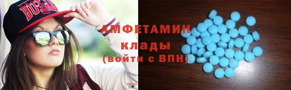 сатива Аркадак