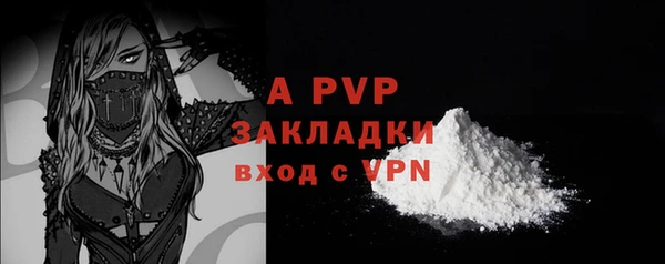 сатива Аркадак
