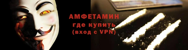 прущие грибы Волосово