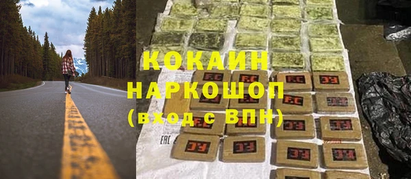 сатива Аркадак